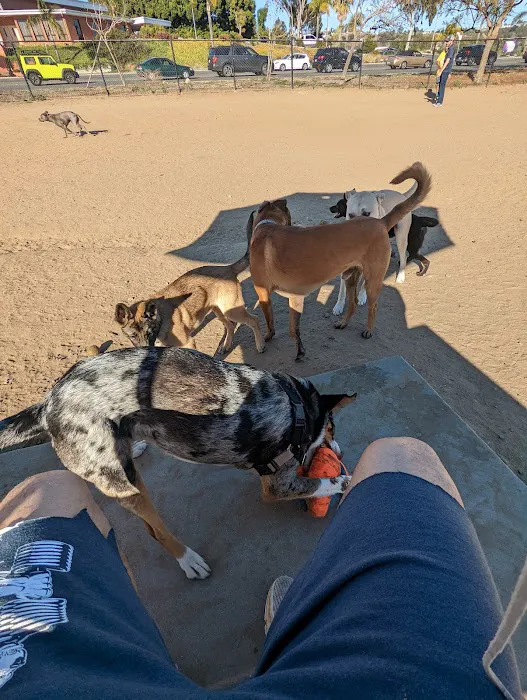 Dog Park 4