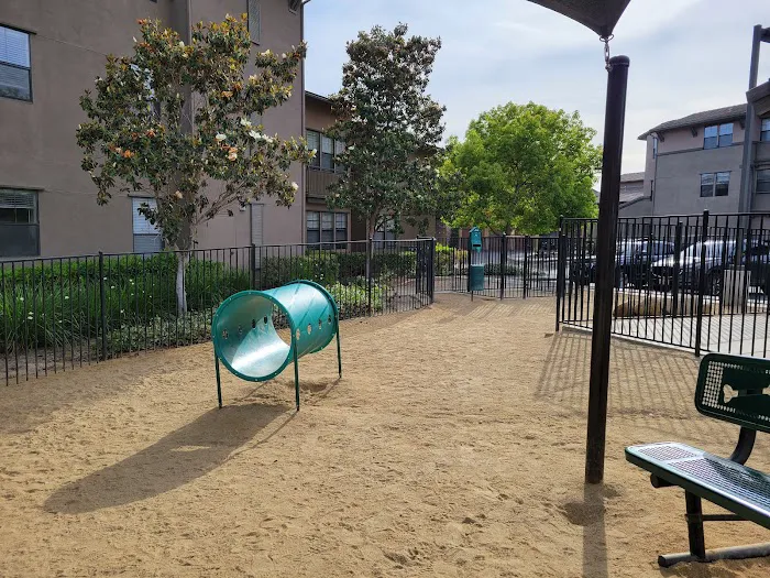 Dog Park 2