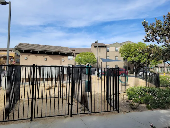 Dog Park 1