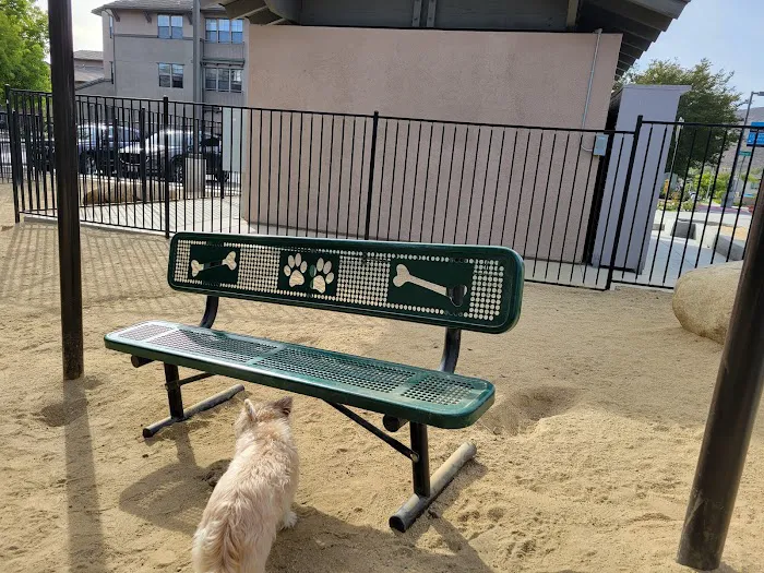 Dog Park 3