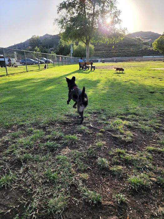 Mayflower Dog Park 4