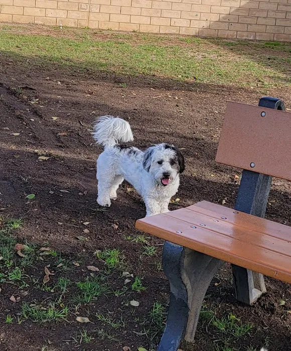 Mayflower Dog Park 8