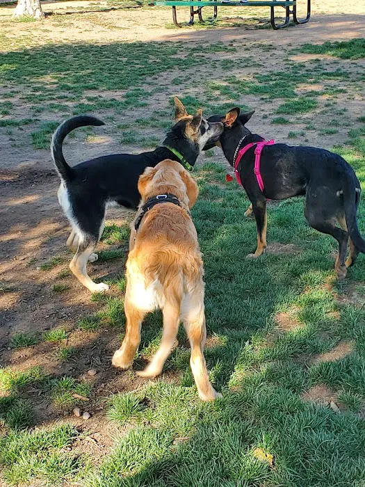 Mayflower Dog Park 9