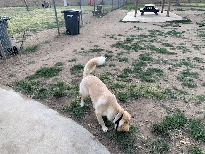 Mayflower Dog Park 3