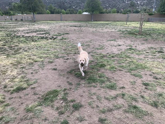Mayflower Dog Park 1