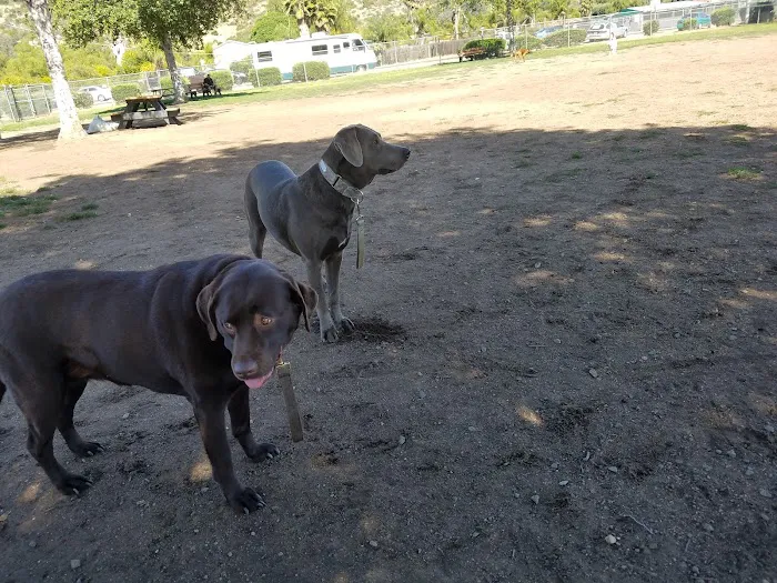 Mayflower Dog Park 6
