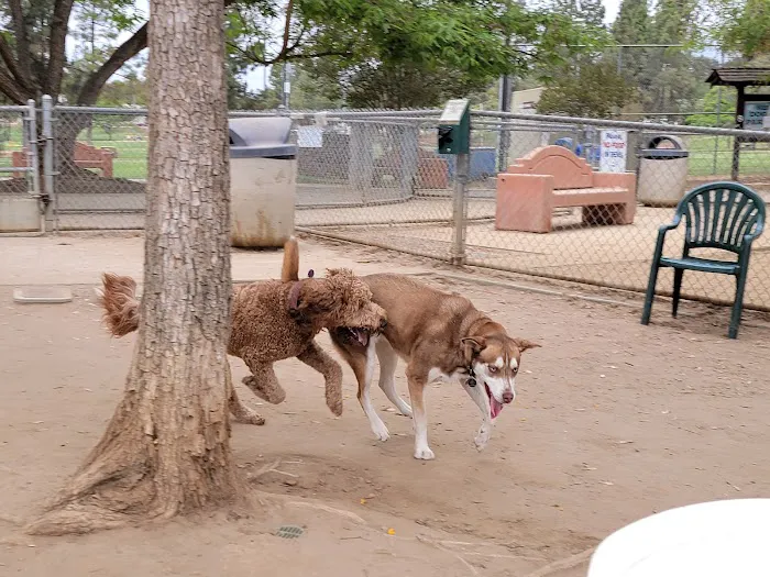 Rancho Bernardo Dog Park 8