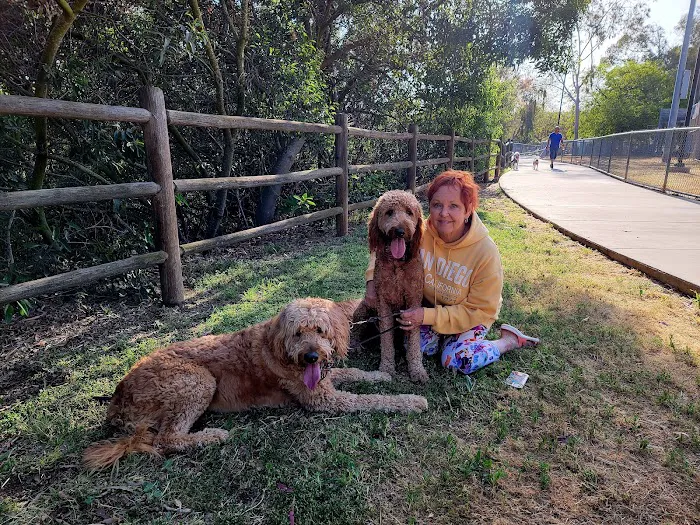 Rancho Bernardo Dog Park 7