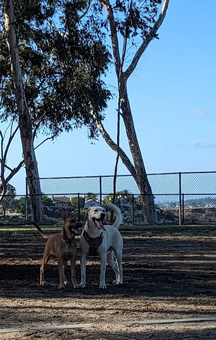 Torrey Highlands Dog Park 1