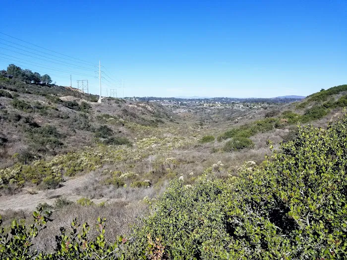 Torrey Highlands Dog Park 9