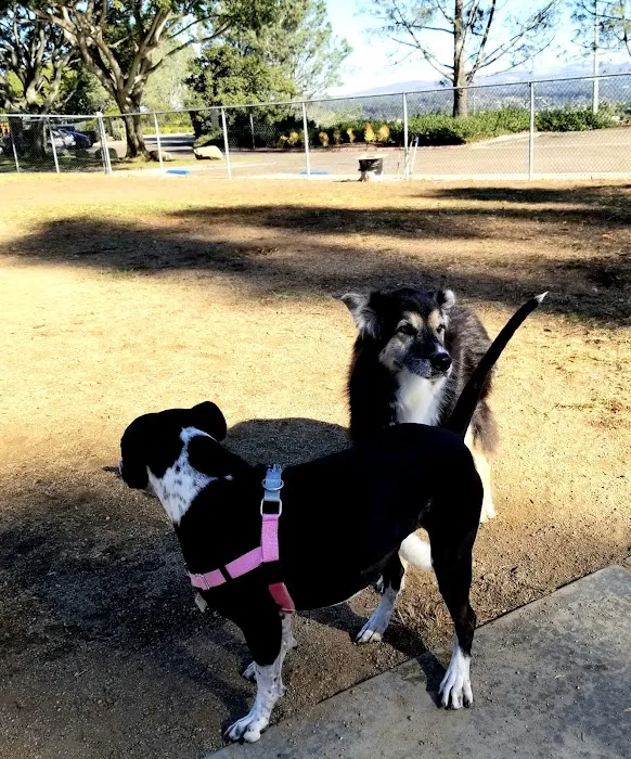 Torrey Highlands Dog Park 8