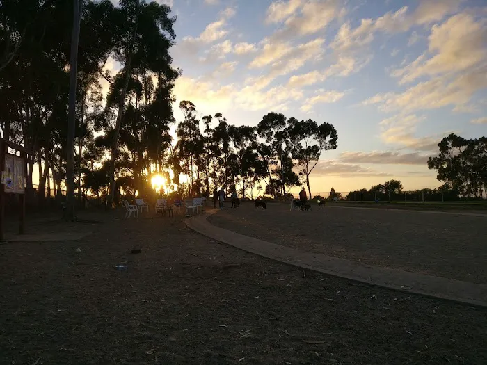 Torrey Highlands Dog Park 6