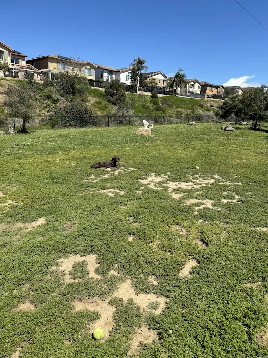 Torrey Hills Dog Park 10