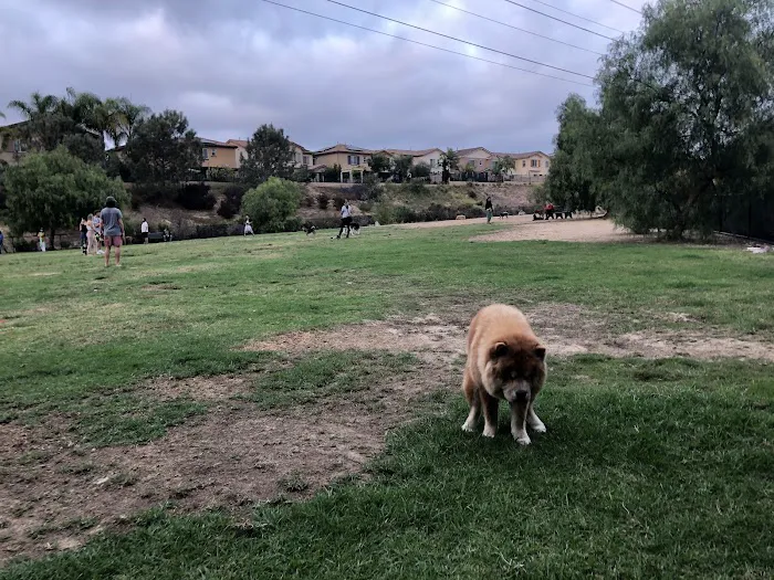 Torrey Hills Dog Park 2
