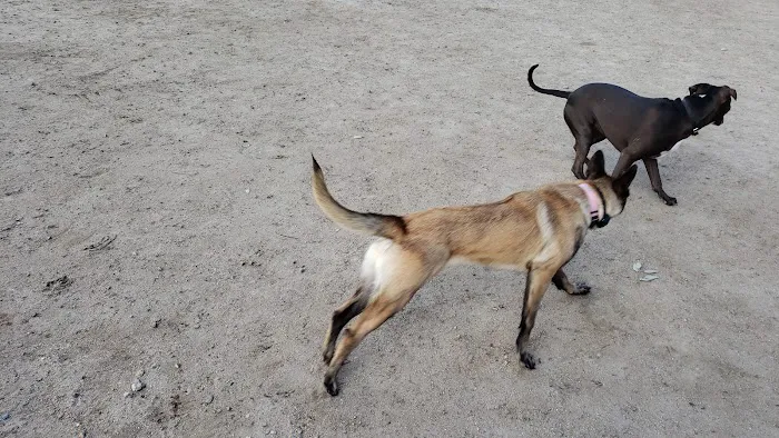 Rancho Penãsquitos Linear Dog Park 3