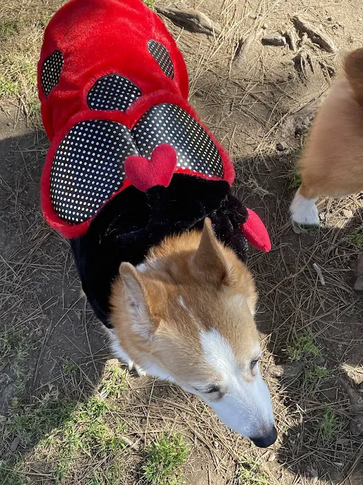 Poway Dog Park 1