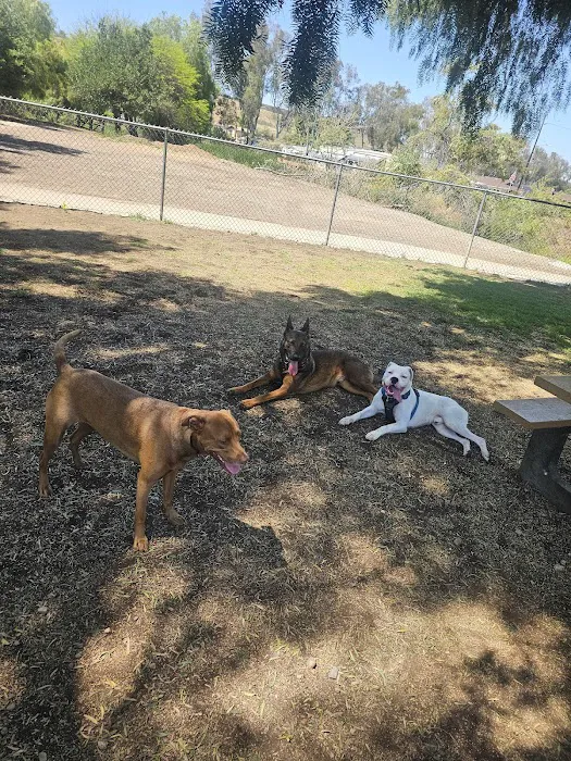 Poway Dog Park 6
