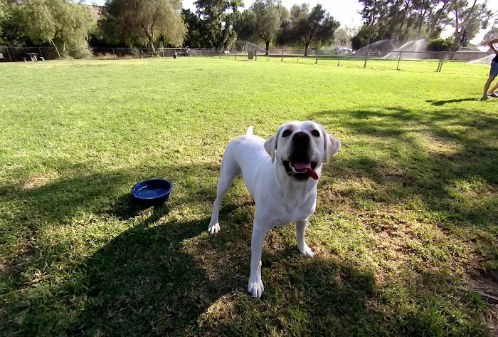 Poway Dog Park 5