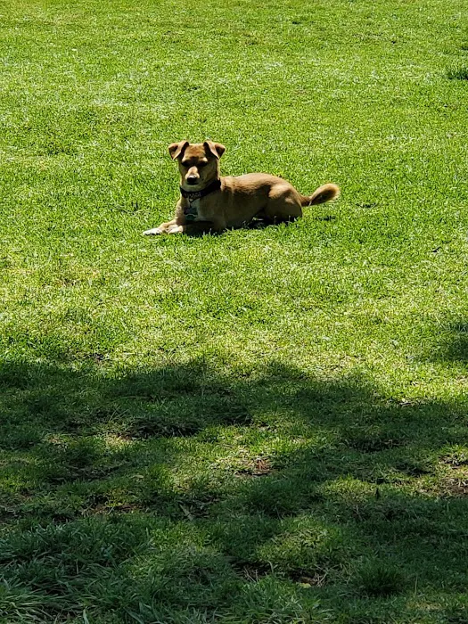 Poway Dog Park 7