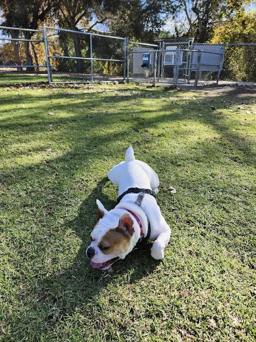 Poway Dog Park 9