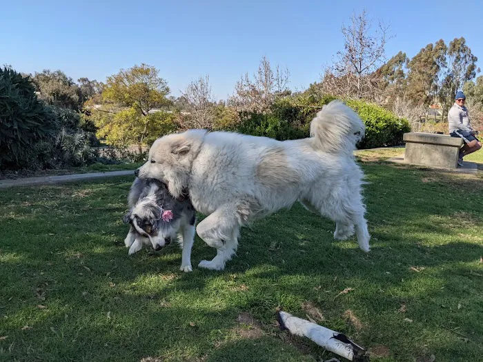 Meanley Open Dog Park 5