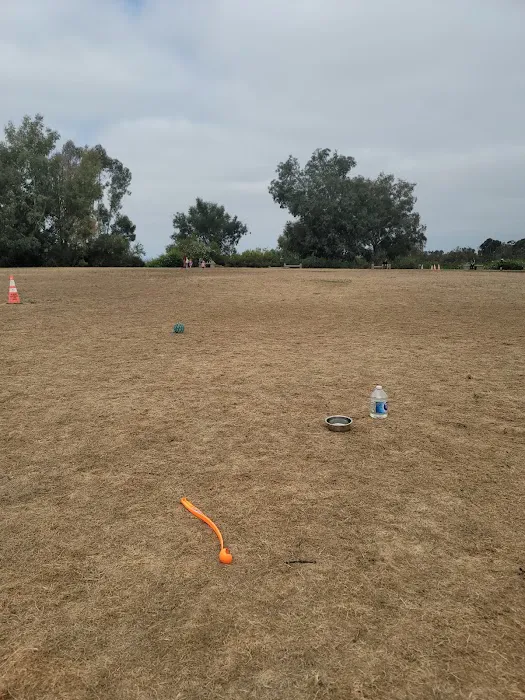 Meanley Open Dog Park 7