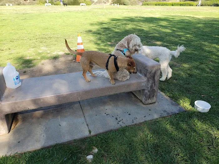 Meanley Open Dog Park 4