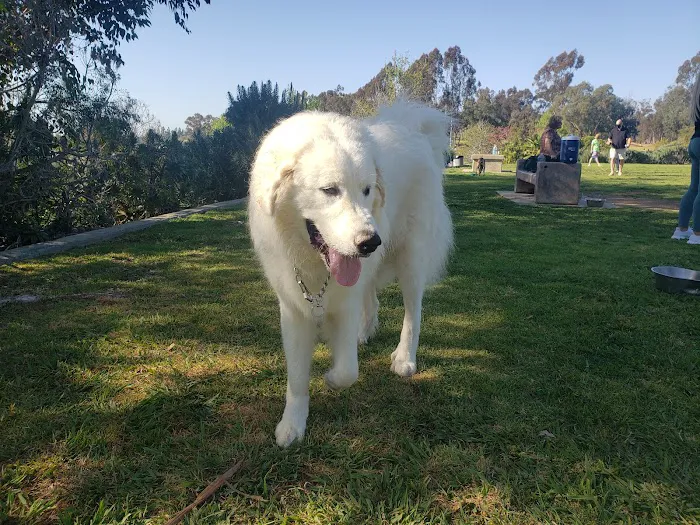 Meanley Open Dog Park 3