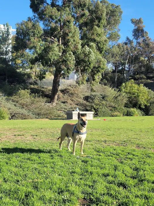 Meanley Open Dog Park 6