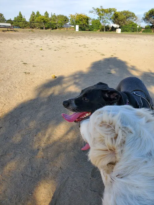 Maddox Park Dog Park 4