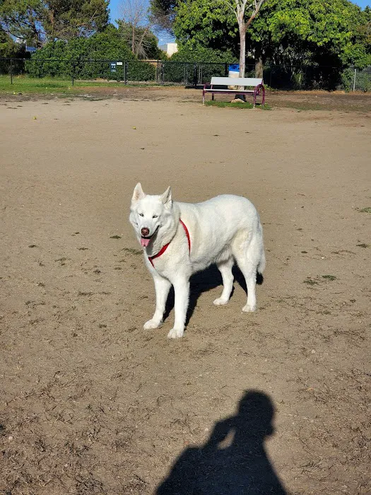 Maddox Park Dog Park 6