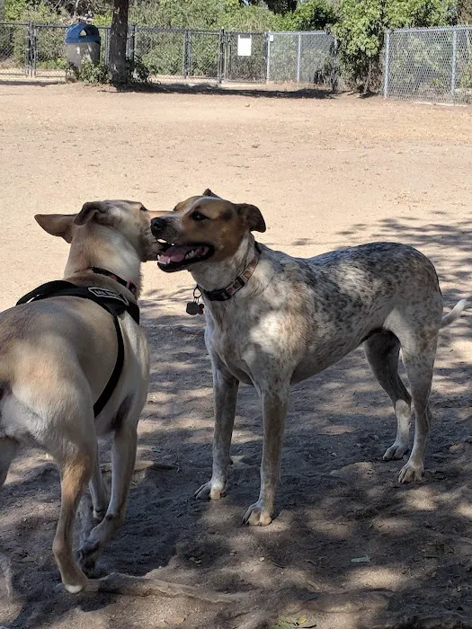 Maddox Park Dog Park 10