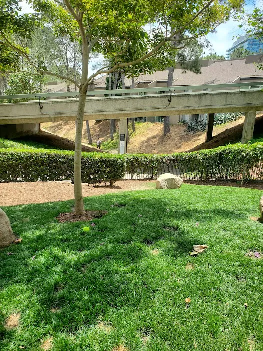 UTC Mall dog park 5