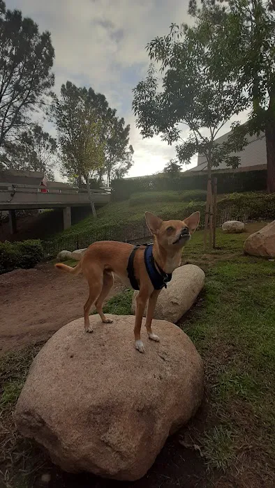 UTC Mall dog park 1