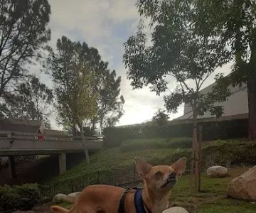 UTC Mall dog park