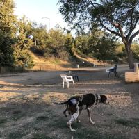 Nobel Leash-Free Park ico