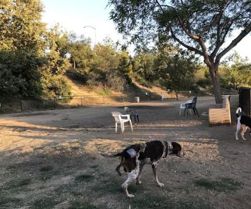 Nobel Leash-Free Park