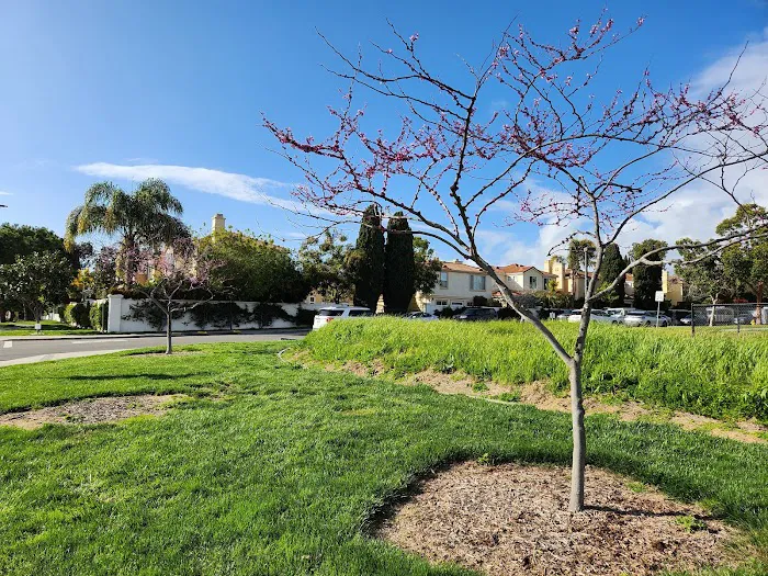 Nobel Leash-Free Park 4