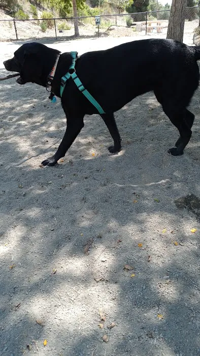 Nobel Leash-Free Park 10
