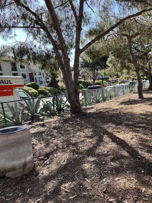 La Jolla Colony Dog Park 6