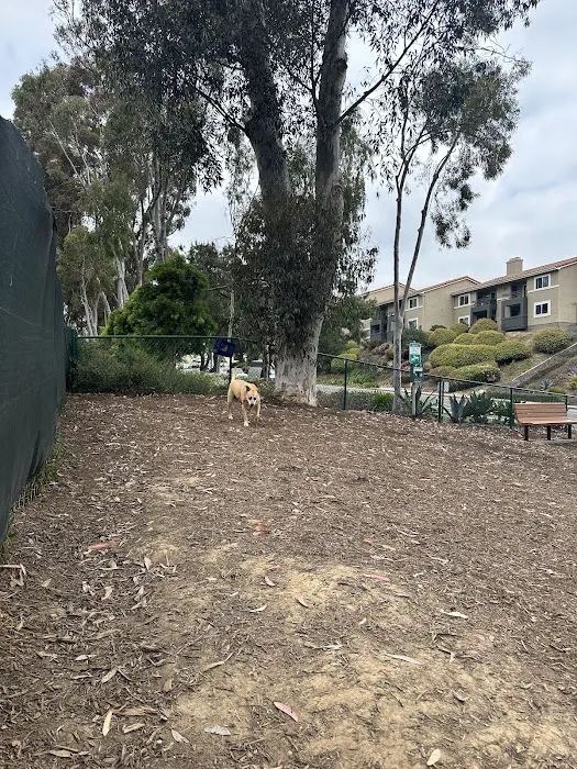 La Jolla Colony Dog Park 1