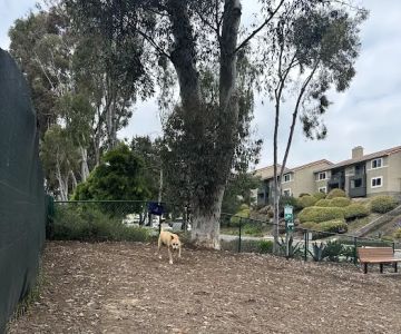 La Jolla Colony Dog Park