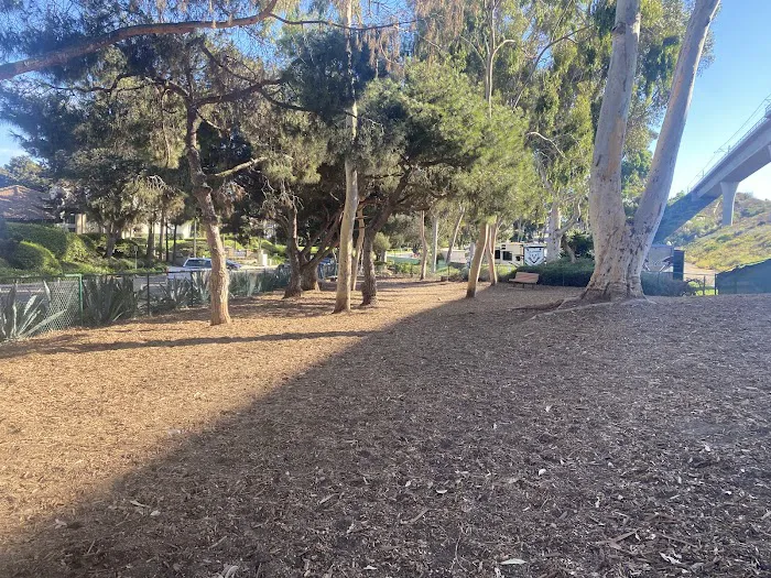 La Jolla Colony Dog Park 3