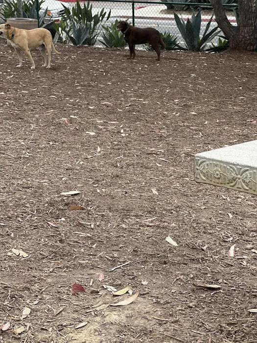 La Jolla Colony Dog Park 2
