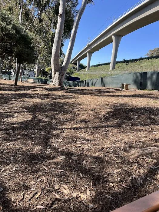 La Jolla Colony Dog Park 9