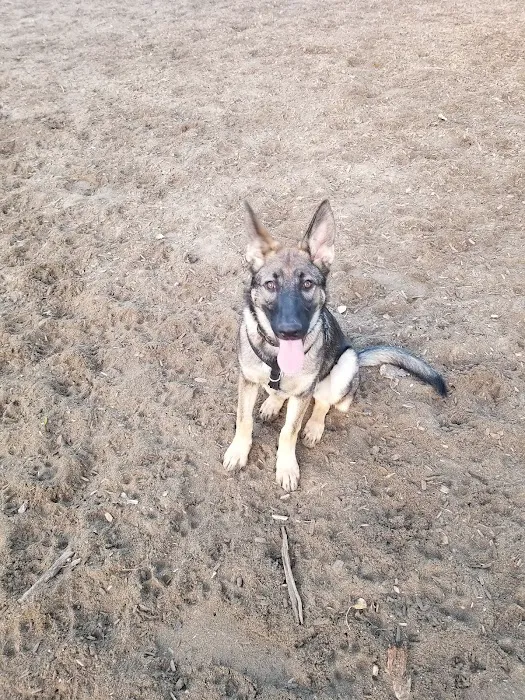 Santee Dog Park 1