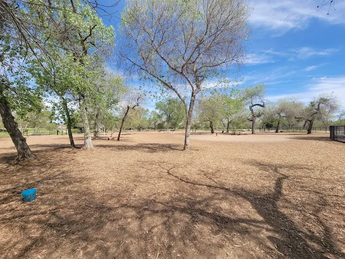 Santee Dog Park 2