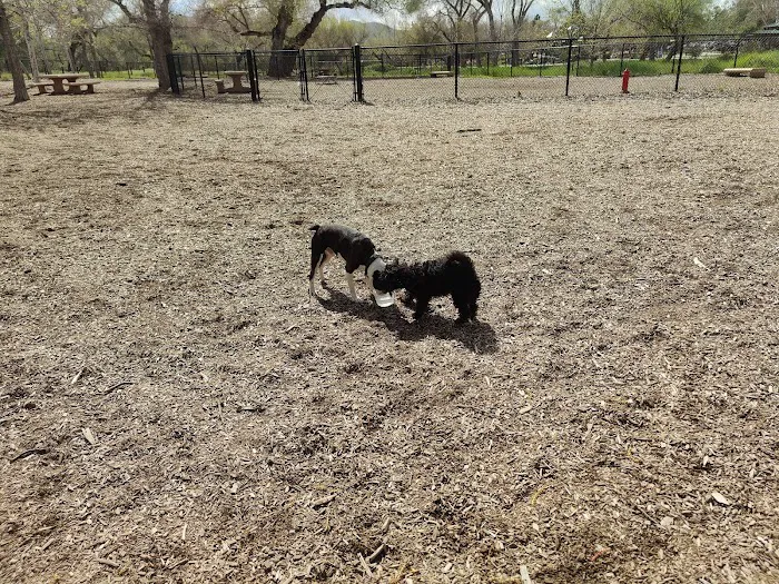 Santee Dog Park 8