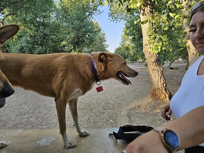 Santee Dog Park 7
