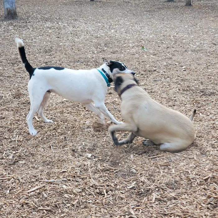 Santee Dog Park 9